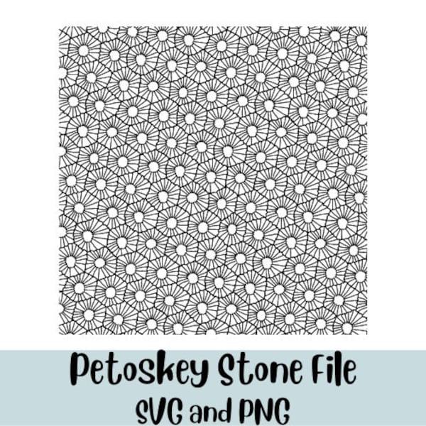 Petoskey Stone - Etsy