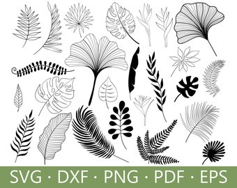 Paquete SVG de hojas tropicales: Imágenes prediseñadas de vegetación dibujadas a mano (descarga digital)