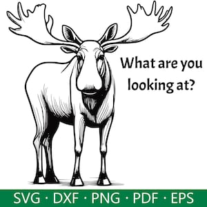 Moose SVG, Moose Quote Svg, Moose Clipart, Moose Sublimation EPS, Moose With Sunglasses, Files for Cricut, Commercial Use, Digital Download