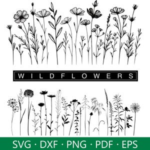 Fleurs sauvages SVG, lot de fleurs sauvages, bouquet SVG, floral Svg, Svg Nature, Svg floral cadre, fleur croquis PNG, clipart botanique