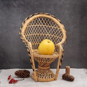 Vintage Puppenstuhl Pfau Korbstuhl Blumenständer Blumenständer Sommer Küsten Dekor Bio Eco Stand Modernes Design Boho Stil Rattan Stuhl