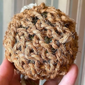 Può includere: Un oggetto sferico avvolto in una rete di corda naturale fibrosa, spessa e marrone. La rete presenta un intricato motivo a intreccio annodato che nasconde parzialmente un nucleo verde scuro. Un cappio di corda bianca ritorta è fissato sulla parte superiore.