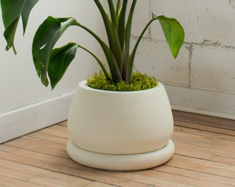 Large planter with drainage holes and saucer | Indoor and Outdoor plant pot