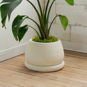 Large planter with drainage holes and saucer | Indoor and Outdoor plant pot