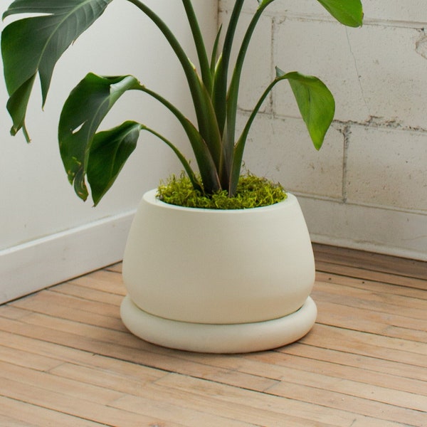 Large planter with drainage holes and saucer | Indoor and Outdoor plant pot