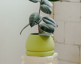 Plant Pot with Saucer | Planter with Drainage