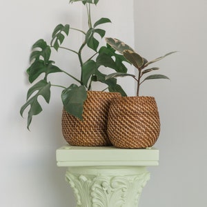 Olla Handmade Rattan Plant Pot Set of 2