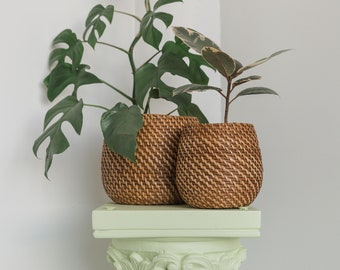 Olla Handmade Rattan Plant Pot Set of 2