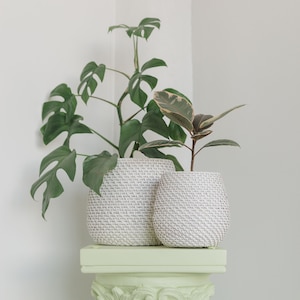 Olla Handmade Rattan Plant Pot Set of 2