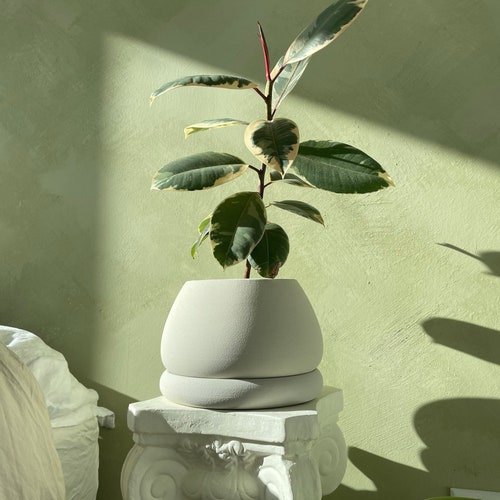 Plant Pot With Saucer Planter With Drainage Etsy