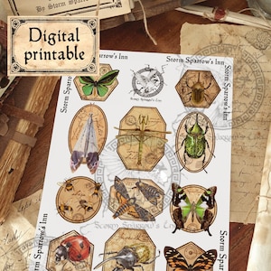 Insect Galore Printable
