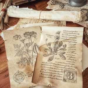 Botanical Scrolls