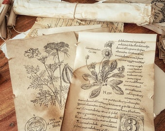 Herbology Botanical Scrolls: Aged Witchcraft Pages
