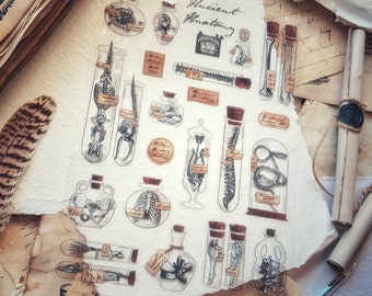 Ancient Anatomy Transparent Stickers