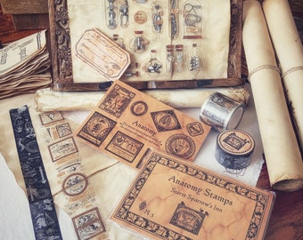 Ancient Anatomy Collection