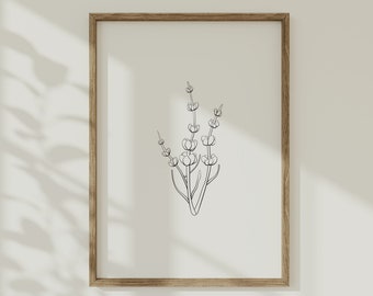 Op de afbeelding: Een zwart-witte lijntekening van een bloem met meerdere stengels en knoppen, ingelijst in een lichtbruin houten frame.