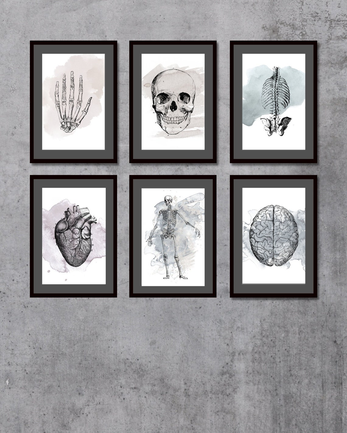 Printable Anatomy Art Set of 6 Printable Art Printable Wall Decor ...