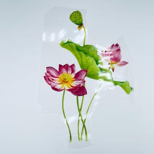 May include: A watercolor painting of pink lotus flowers with green leaves and stems on a white background.