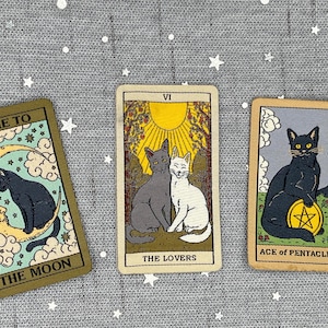 May include: Three tarot cards featuring cat illustrations. One card reads "FLY ME TO THE MOON" with a black cat on a crescent moon. Another card is labeled "THE LOVERS" with two cats. The third card is "ACE of PENTACLES" with a black cat.