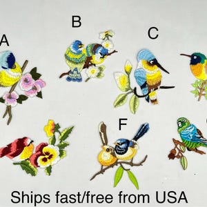 May include: Assortment of embroidered iron-on patches featuring colorful birds and flowers. The patches are labeled A through G.