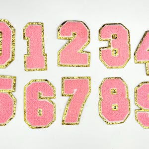 May include: Nine pink felt iron-on patches with gold outlines, each featuring a different number from 0 to 9.