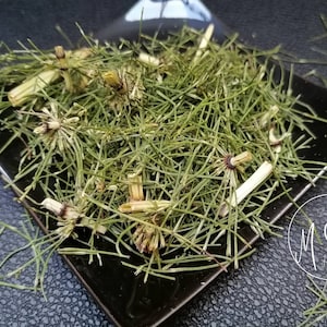 Horsetail herb - Equisetum arvense L. / Common, Field Horsetail / Organic dry herb, Herbal remedy, Tea, hair / Available from 1 oz to 4 lbs