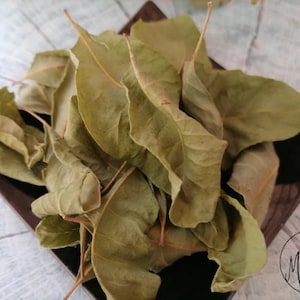 Smoketree Leaf - Cotinus coggygria L. / Organic dry and cut leaves / smoke tree leaf / Available from 1 oz to 4 lbs