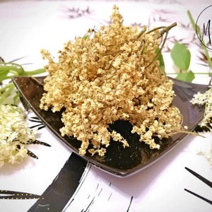 Buy Elder Flower Online In India - Etsy India