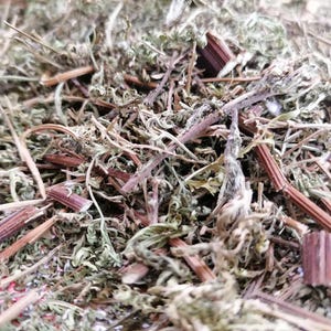Sweet Annie, Wermutkraut - Artemisia annua L. / Biologisch getrocknetes und geschnittenes Kraut / Erhältlich von 1 oz bis 4lbs