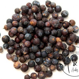 Wacholderbeere - Juniperus communis L. oder stachelige rote Wacholderbeeren - Juniperus oxycedrus L. / Organisch, trocken / Verfügbar von 1 oz bis 4 Pfund