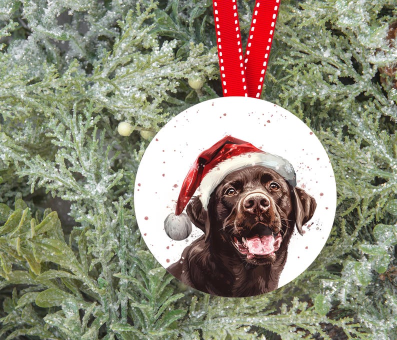Pu&ograve; includere: Un addobbo natalizio rotondo con un Labrador Retriever marrone che indossa un cappello da Babbo Natale rosso. Il cane guarda direttamente lo spettatore con un'espressione felice. Lo sfondo &egrave; bianco con un effetto neve sottile.