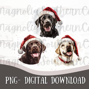 Pu&ograve; includere: Tre illustrazioni digitali di cani che indossano cappelli di Babbo Natale. I cani sono un labrador nero, un labrador marrone e un golden retriever. Lo sfondo &egrave; un motivo a legno bianco.