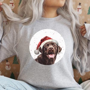 Pu&ograve; includere: Una felpa grigia con un design circolare bianco che presenta un Labrador Retriever marrone con un cappello da Babbo Natale rosso. Il cane guarda lo spettatore con la bocca aperta e la lingua di fuori.