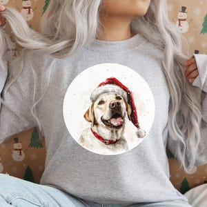 Pu&ograve; includere: Una felpa grigia con un design circolare bianco che presenta un labrador retriever giallo con un cappello di Babbo Natale rosso. Il cane sorride e indossa un collare rosso.