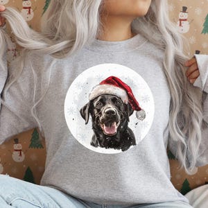 Pu&ograve; includere: Una felpa grigia con un Labrador Retriever nero che indossa un cappello da Babbo Natale rosso su uno sfondo bianco con fiocchi di neve. Il cane guarda la telecamera.