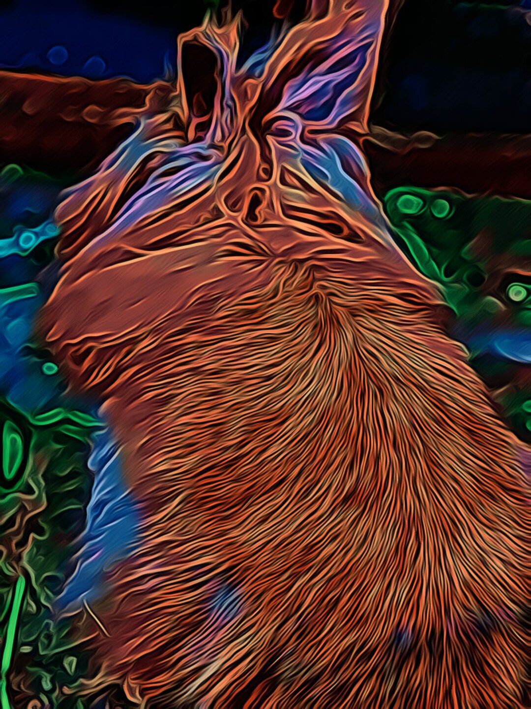 Peanut Bunny - Etsy