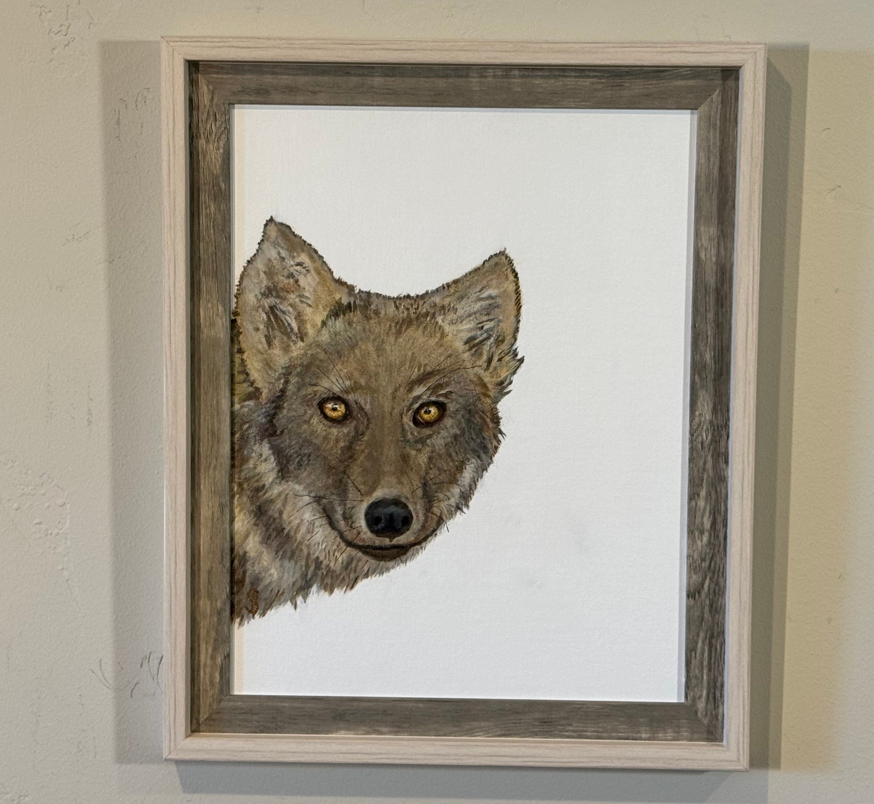 gallery photo