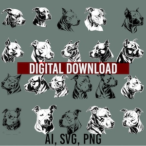 American Pit Bull Svg | Dog Svg Pitbull Peeking | Pitbull  21 Svg Bundle | Pit Bull Clipart | Dog Breeds Svg | Pitbull Clipart