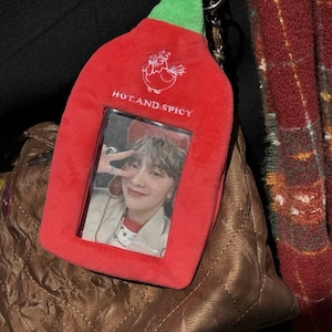 Porta-cartões de pelúcia com molho picante, capa protetora para cartões, dois bolsos