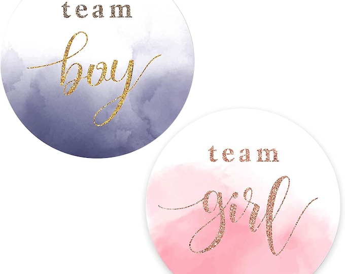 Gender Reveal Stickers 120PCS Team Boy Team Girl Labels