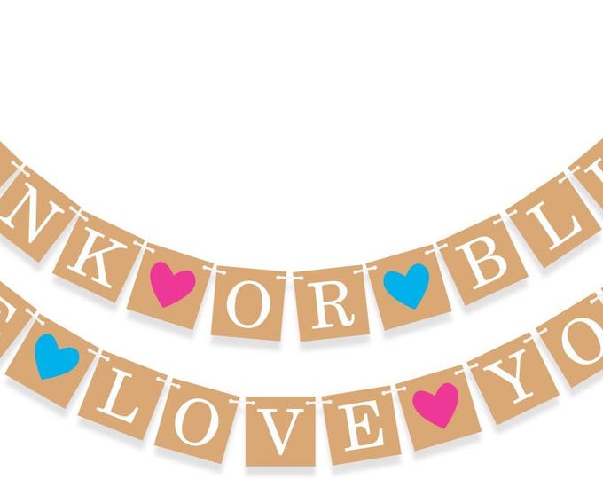 Gender Reveal Banner Pink or Blue Party Decoration Sign