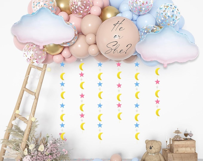 Gender Reveal Balloon Arch Kit 185PCS Party Decoration Set