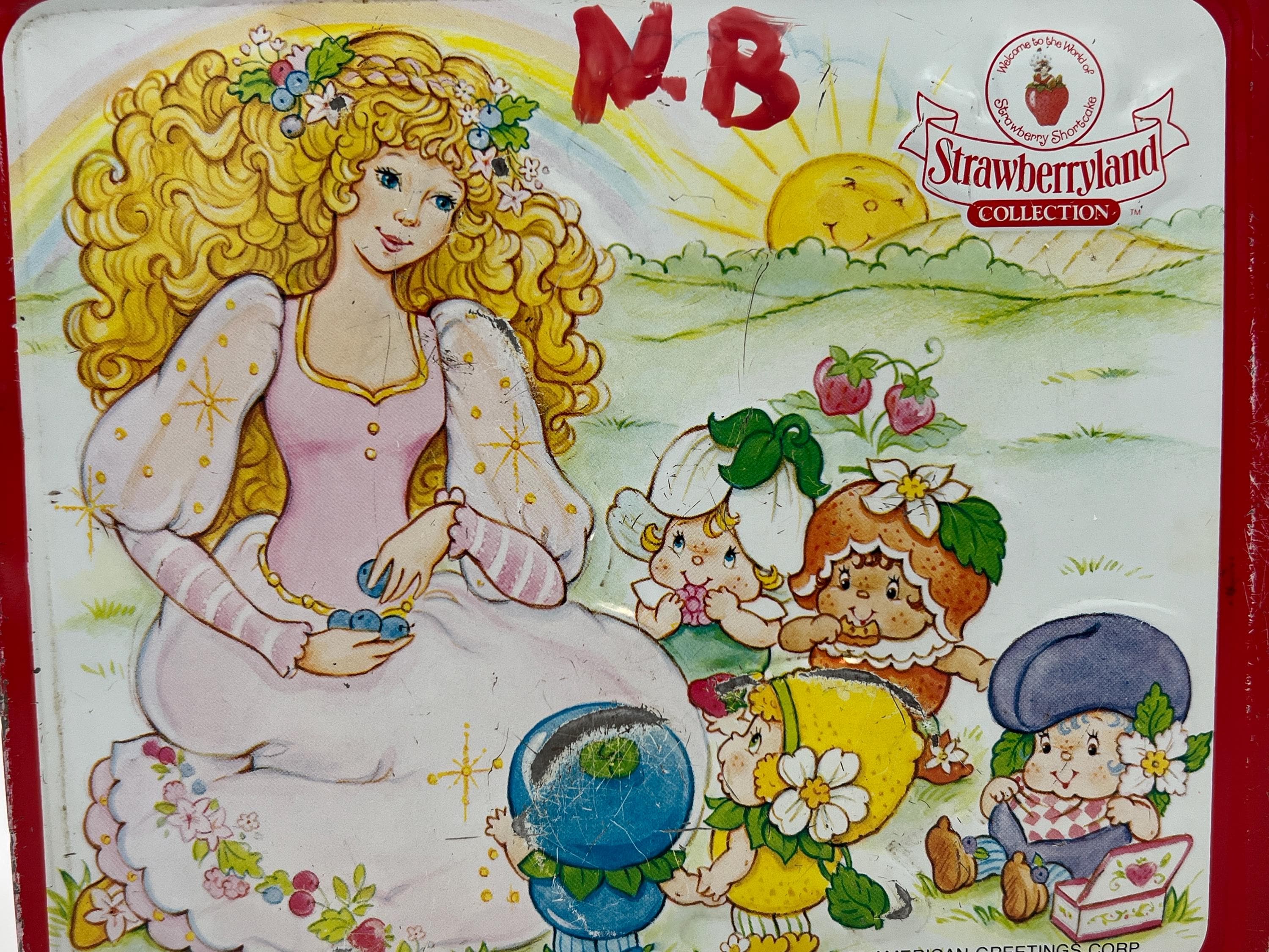 HTF Vintage Strawberry Shortcake and Berrykins Metal Lunchbox - Etsy