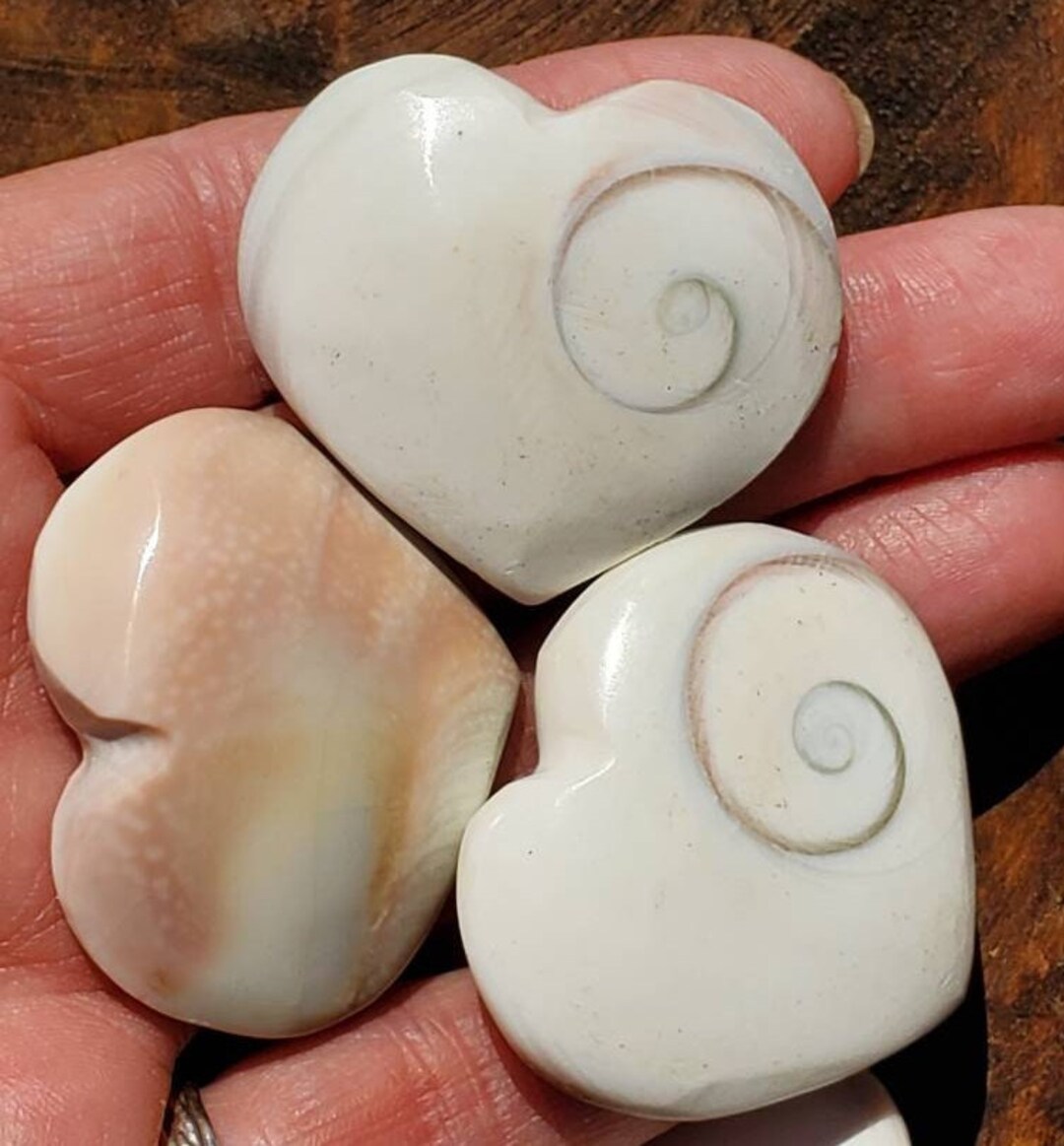 Shiva Shell Heart - Etsy