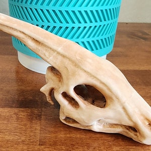 Parasaurolophus Replica Skull 3D Printed