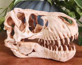 T-Rex Replica Skull