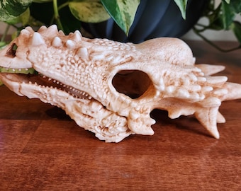 Stygimoloch Replica Skull 3D Printed