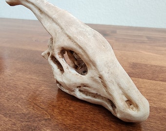 Parasaurolophus Replica Skull 3D Printed