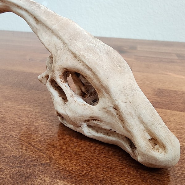 Parasaurolophus Replica Skull 3D Printed