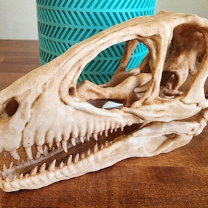 Deinonychus Replica Skull 3D Printed